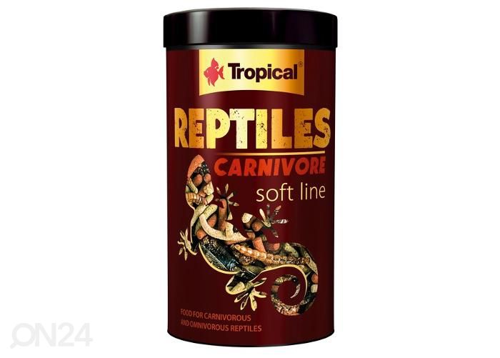 Reptiilide täissööt carnivore 250 ml suurendatud