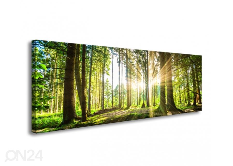 Seinapilt Forest in backlight 120x40 cm suurendatud