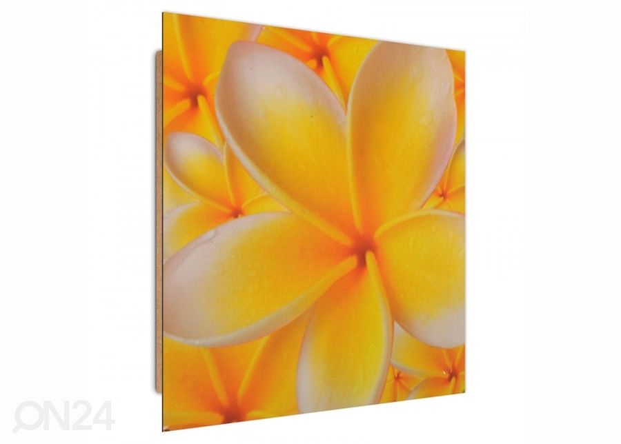 Seinapilt Frangipani flower 3D 30x30 cm suurendatud