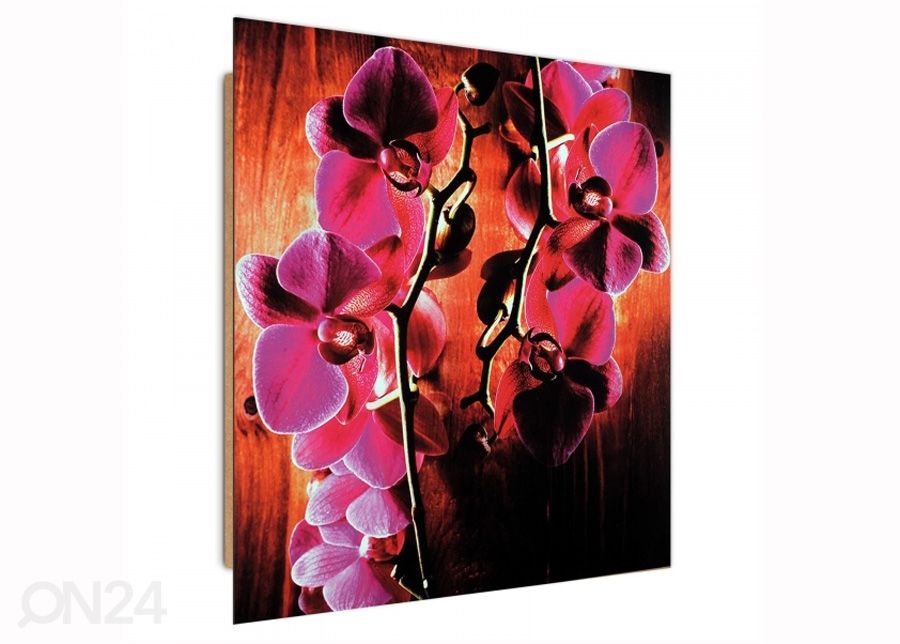 Seinapilt Pink Orchids 3D 30x30 cm suurendatud